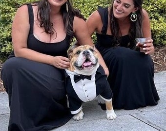 English bulldog designer tuxedo Luxury dog outfit Customized dog suit Birthday dog costume Dog wedding suit Custom dog suit