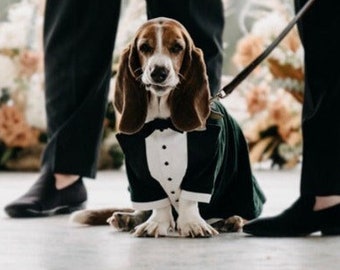 Green velvet wedding dog tuxedo Formal dog suit Basset hound suit Luxury dog outfit Custom dog suit Birthday dog costume Dog wedding