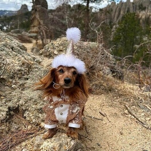 Golden beige sequins dog tuxedo Dachshund wedding attire Formal dog suit Swallow-tailed dog coat Birthday dog Custom made dog tux