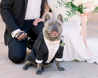 Black Dog Tuxedo: Custom Wedding Outfit with Blush Bowtie