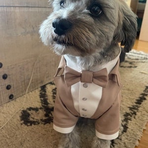 Beige Hunde-Tuxedo nach Kundenwunsch: Formelle Hochzeitskleidung, Schwalbenschwanz-Mantel