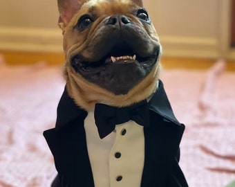 Custom Dog Tuxedo: Black Satin Formal Suit, Wedding Attire