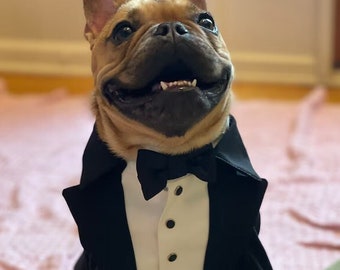 French bulldog suit Formal dog tuxedo French bulldog suit Luxury dog outfit Customized dog suit Birthday dog costume Dog wedding attire