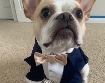 Navy dog tuxedo with champagne bow tie Dog wedding attire Formal dog suit English bulldog bespoke tuxedo Birthday dog suit Custom dog tux