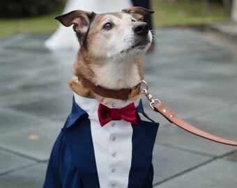 Navy blue dog tuxedo with burgundy bow tie Shepherd dog tuxedo Formal suit for dog Birthday dog costume Bespoke suit Large dog suit suit