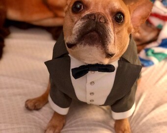 Dog wedding attire in gray Formal suit for dog with bow tie Evening outfit for dog Swallow-tailed coat for dog French bulldog suit