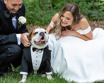 Black wedding dog tuxedo Formal dog suit English bulldog suit Luxury dog outfit Customized dog suit Birthday dog costume Dog wedding attire