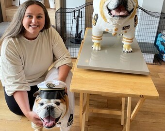 Sailor dog costume English bulldog captain costume Luxury dog outfit Custom dog suit Birthday dog costume Dog wedding