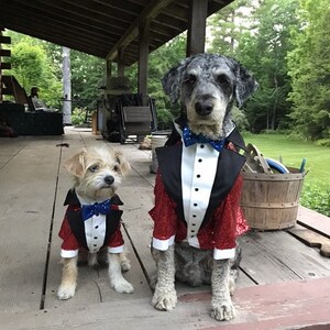 Red sequins dog tuxedo with black blue tie Dog wedding attire Formal dog suit Swallow-tailed dog coat Birthday dog Custom made dog tux