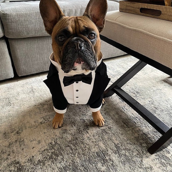Black wedding dog tuxedo Formal dog suit French bulldog suit Luxury dog outfit Customized dog suit Birthday dog costume Dog wedding attire