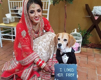 Custom Dog Tuxedo: Satin Wedding Suit, Ring Bearer Outfit