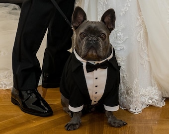 French bulldog wedding tuxedo Formal dog suit French bulldog suit Luxury dog outfit Dog wedding attire