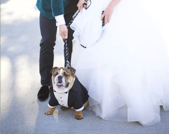Black Dog Tuxedo: Custom Formal Wedding Suit