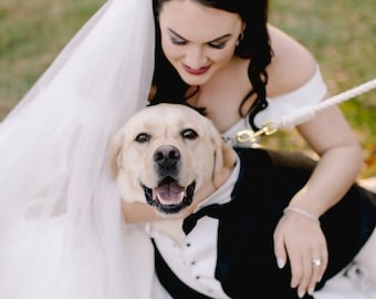 Wedding dog tuxedo Formal dog tuxedo Custom made dog suit Labrador dog suit Customized dog suit Birthday dog costume Labrador retriever suit