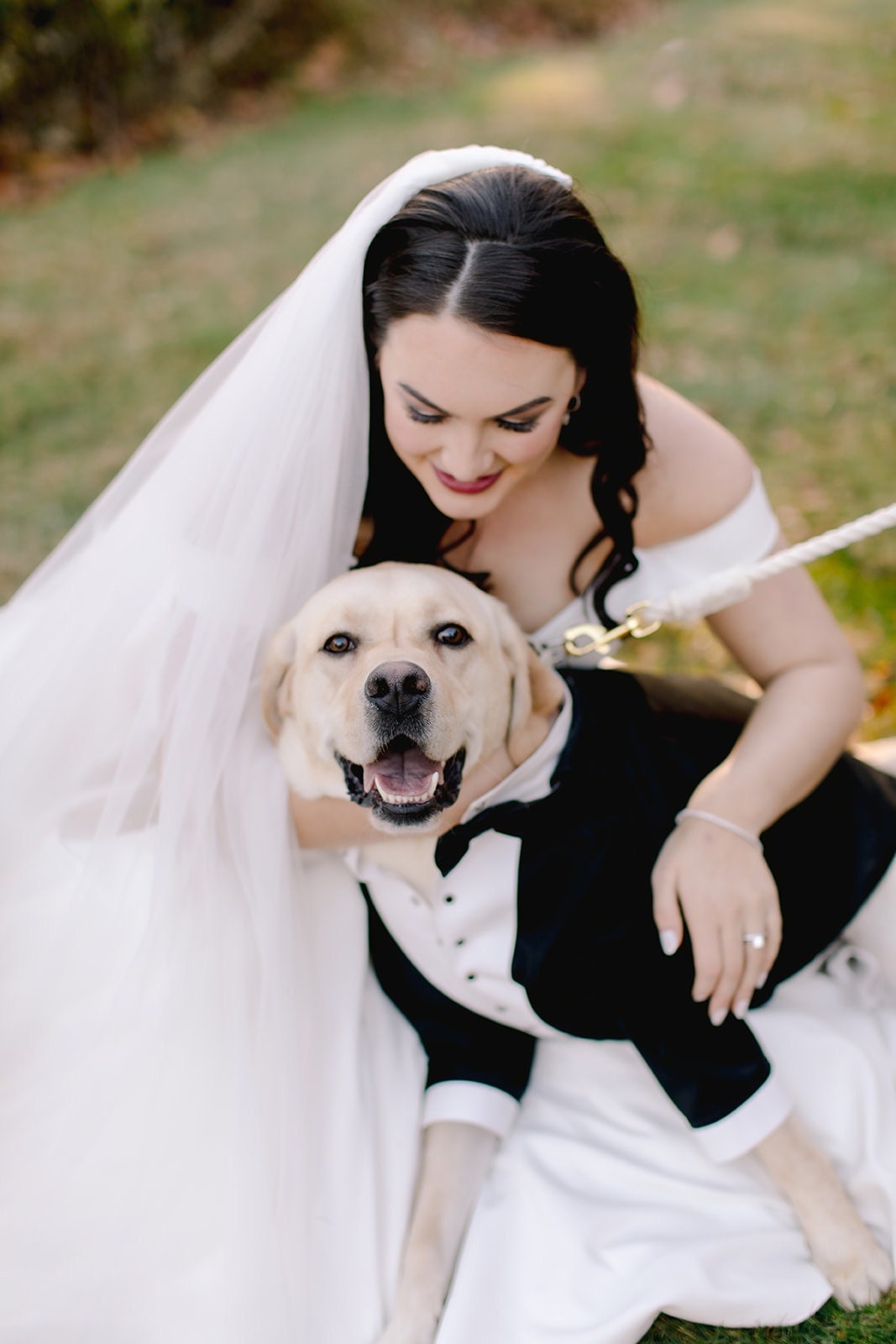 Custom Wedding Dog Tuxedo Formal Black Suit With Bowtie
