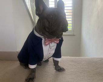 Navy blue dog tuxedo with dusty pink bow tie French bulldog tuxedo Formal dog suit Birthday dog costume Bespoke dog suit