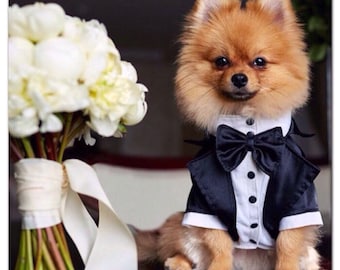 Wedding tuxedo for dogs Formal dog tuxedo Custom made dog suit Luxury dog outfit Customized dog suit Birthday dog costume Dog wedding attire