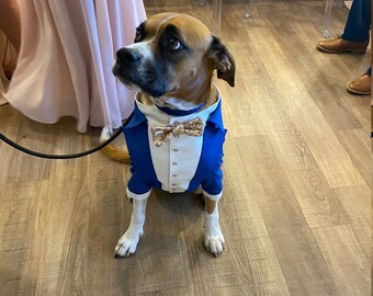 Royal blue dog tuxedo with golden sequins bow tie Dog wedding attire Formal dog suit Swallow-tailed dog coat Birthday dog costume