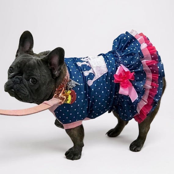bulldog dress blues USMC Bulldog's Dress Uniform
