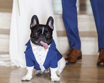 Royal blue bespoke dog tuxedo with white satin bow tie Dog wedding attire Formal dog suit French bulldog tuxedo Birthday dog costume