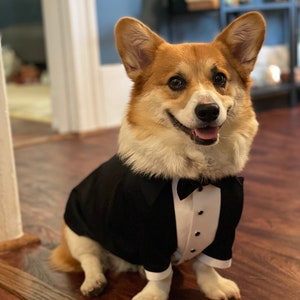 Black Satin Dog Tuxedo: Custom Wedding Outfit with Bowtie