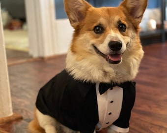 Black Satin Dog Tuxedo: Custom Wedding Outfit with Bowtie