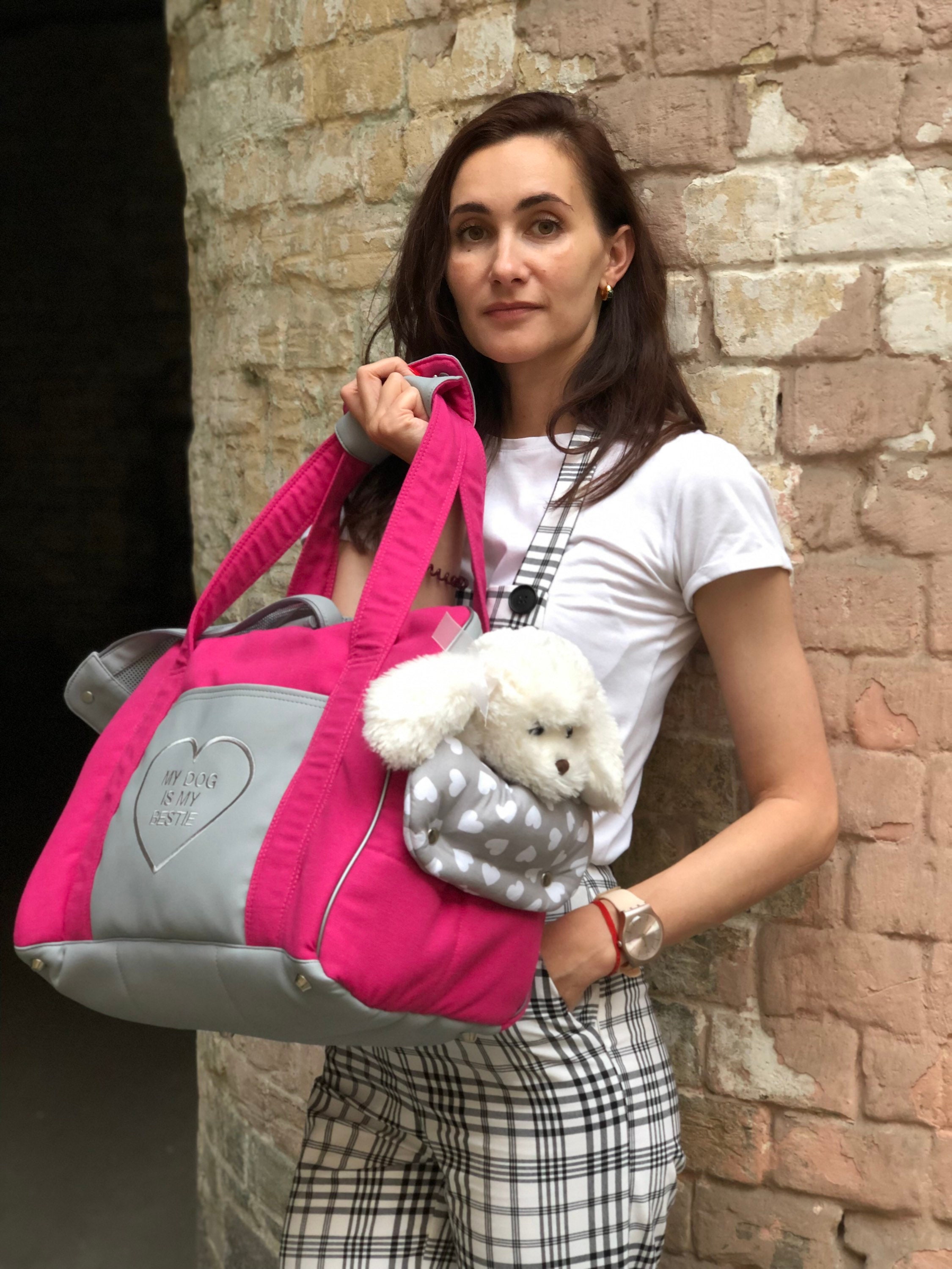 Bright Pink and Gray Designer Dog Carrier Bag for Small Dog Etsy UK