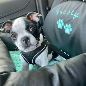 Mint en zwart gepersonaliseerd hondenautostoeltje Drijfpakket voor hond Designer hondenautostoeltje Luxe hondenmand voor op reis Aangepast hondenautostoeltje