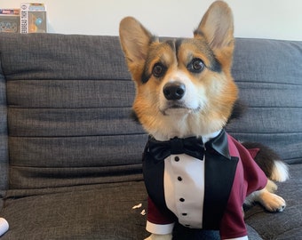 Burgundy and black wedding dog tuxedo with black lapels  and black bow tie Formal dog suit Birthday dog costume Custom corgi dog tuxedo