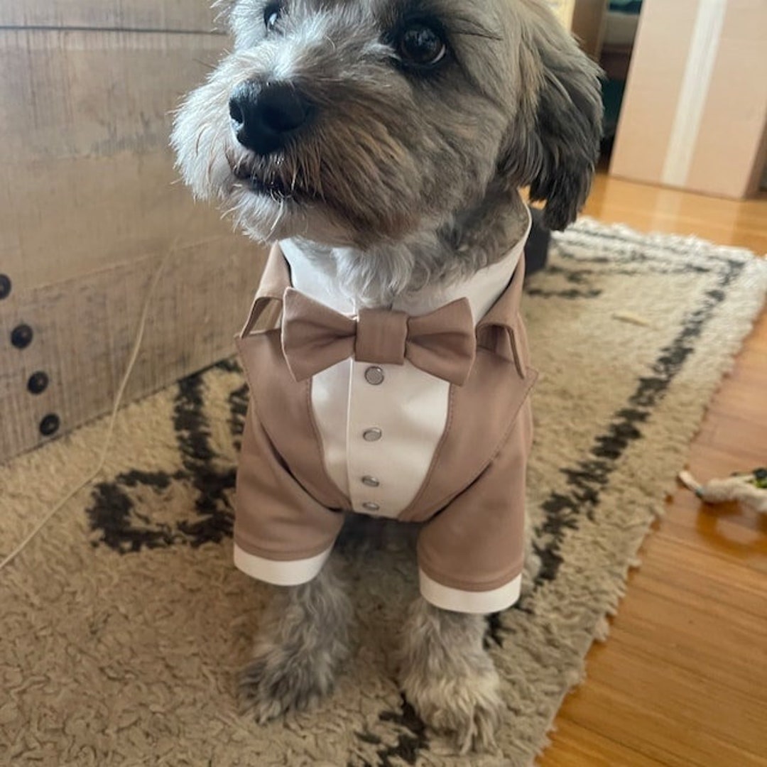 Dog tuxedo for wedding online