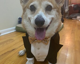 Black dog tuxedo with beige sequins bow tie Corgi dog suit Formal dog suit Swallow-tailed dog coat Birthday dog costume Custom dog suit