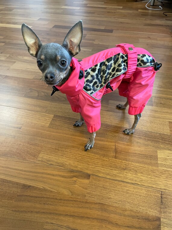 Designer dog cheap raincoat