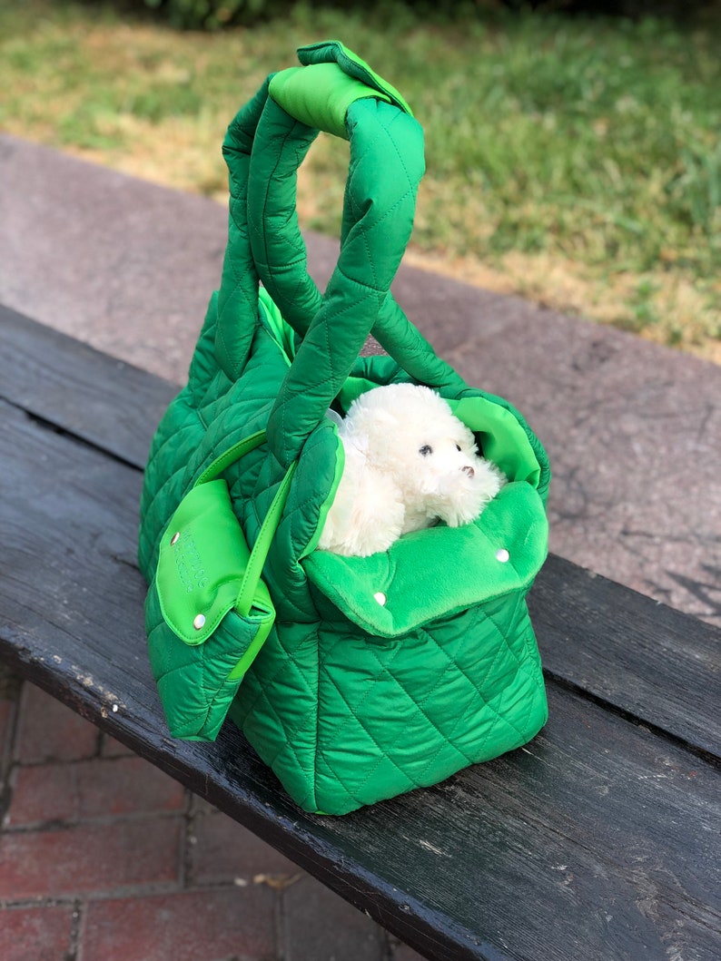 designer dog carrier