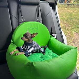 Luxe groen eco-leer hondenautostoeltje – designer reisbed voor huisdieren en aangepaste rijset