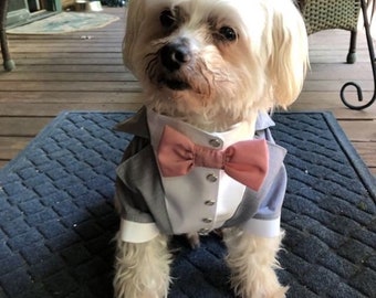 Light gray dog tuxedo with blush bow tie Maltese dog suit Yorkshire tuxedo Evening dog outfit  Birthday dog costume