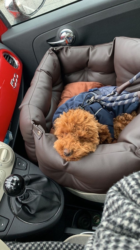 Negro chocolate marrón lujo silla de coche para perros Silla de coche para  perros de diseño Cama para perros marrón de lujo para viajar Silla de coche  personalizada personalizada -  España