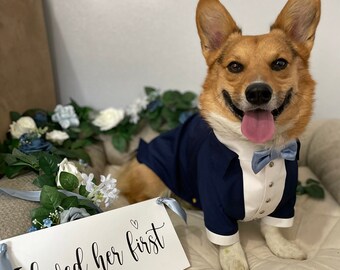 Navy blue dog tuxedo with light blue bow tie Bespoke dog tuxedo Dog wedding attire Formal dog suit Corgi tux Custom suit for dachshund