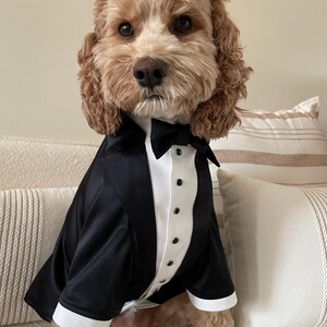 May include: A dog in a black tuxedo with a white shirt and a black bow tie. The dog has light brown curly fur and is sitting on a beige sofa with decorative cushions. The tuxedo has white cuffs and black buttons.