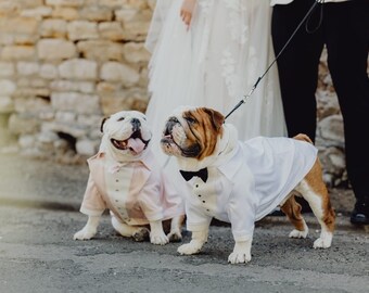 Luxury wedding tuxedo for English Bulldog or any other breed