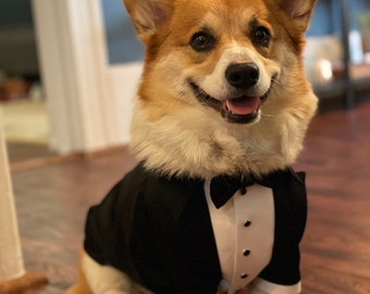 Black Satin Dog Tuxedo: Custom Wedding Outfit with Bowtie
