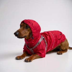 Red Waterproof Dog Raincoat for Dachshunds and All Breeds, Available in Custom Sizes