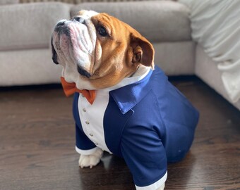 english bulldog dress blues Custom Tuxedo: Navy Blue Wedding Dog Suit with Terracotta Bow Tie Item:Shirt Elegant Black Mini Dress Features:Low Back