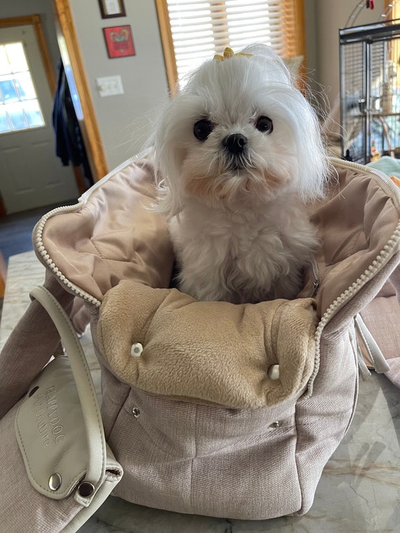Designer puppy carrier top