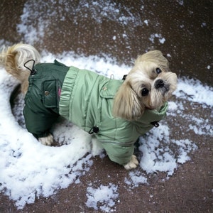 Shihtzu Winter Coat Etsy UK
