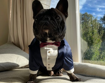 Navy blue satin french bulldog suit Formal suit for french bulldog Birthday dog costume Bespoke suit Bulldog bespoke suit Burgundy bow tie