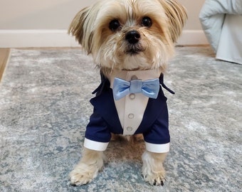 Navy blue dog tuxedo with sky blue bow tie Bespoke dog tuxedo Yorkshire dog suit Formal dog suit Birthday dog costume Yorkie tuxedo