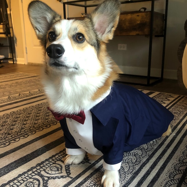 Marineblauer Hunde-Smoking mit weinroter Fliege Corgis-Hunde-Smoking Formeller Anzug für Hund Geburtstags-Hundekostüm Maßgeschneiderter Anzug Corgis maßgeschneiderter Anzug