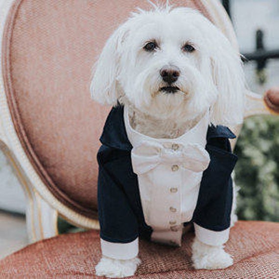 Navy Blue Monogram Bow Tie Dog Collar