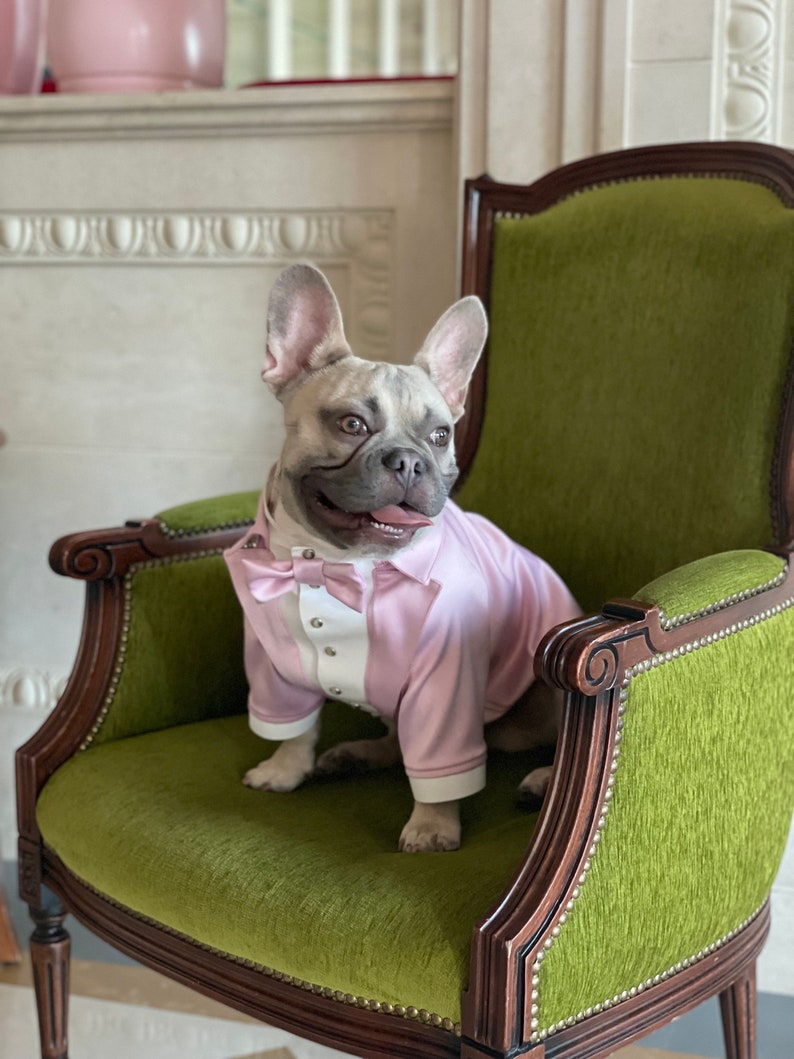 Baby pink wedding dog suit Rose pink dog tuxedo French bulldog suit Luxury dog outfit Customized dog suit Birthday dog costume Dog wedding image 1