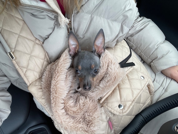 Dog carrier store sling petsmart